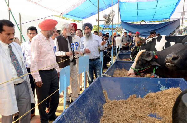Dr. Sukhpal Singh, Dr. Rampal Mittal visiting Animal Exhibition in Pashu Palan Mela on Dated 25-03-2023 